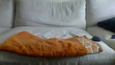 allbermy online show from June 2026 02:38:01 PM