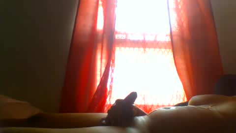 allbermy online show from June 2026 03:47:01 PM