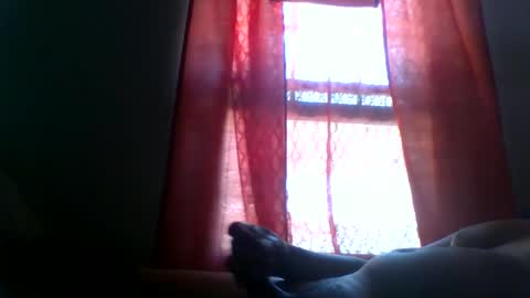 allbermy online show from June 2026 05:14:01 PM