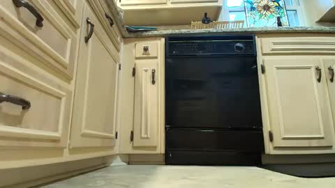 wishlist on bio online show from December 2025 07:22:01 PM