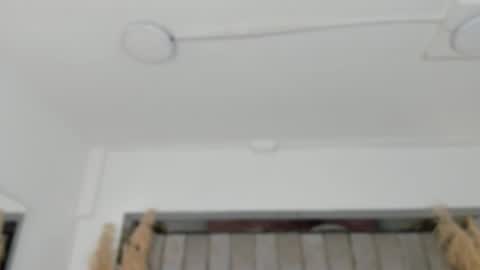    online show from February 2026 10:47:02 AM