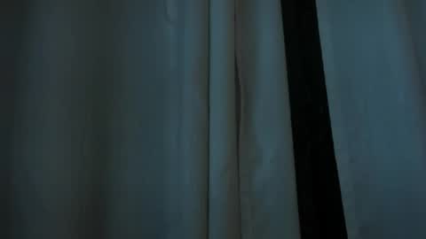 Snapshot of allisonpariss chatting on May 2026 11:17:02 AM alison online show from May 2026 11:17:02 AM