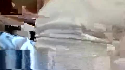 Snapshot of allman617 chatting on November 2025 06:07:02 PM allman617 online show from November 2025 06:07:02 PM