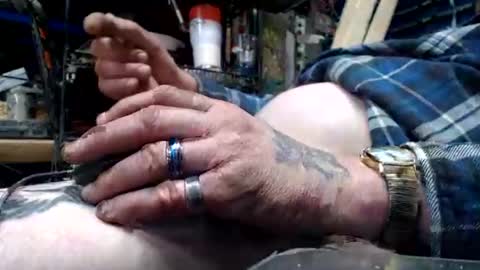 allwolf0323 online show from April 2026 05:53:02 PM