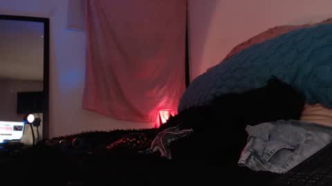 Ally online show from February 2025 12:52:02 AM