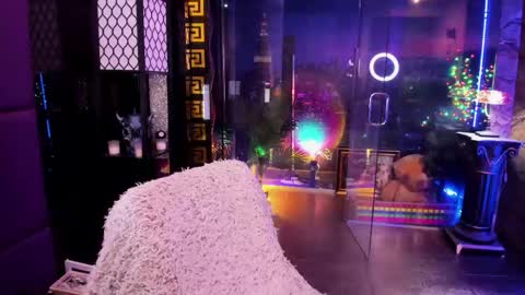 Snapshot of alma_pearl chatting on May 2026 08:12:02 AM Alma online show from May 2026 08:12:02 AM
