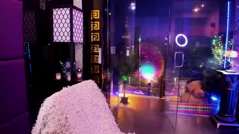 Snapshot of alma_pearl chatting on May 2026 09:38:02 AM Alma online show from May 2026 09:38:02 AM