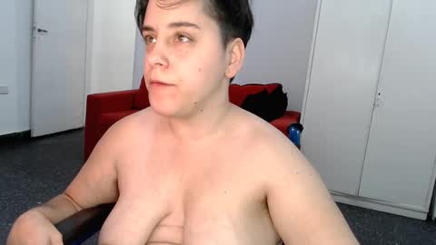 Snapshot of almondonwheels chatting on December 2024 02:24:01 AM Almond online show from December 2024 02:24:01 AM