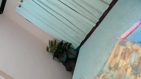 Snapshot of alove_too_last chatting on February 2025 04:43:01 PM LEXY online show from February 2025 04:43:01 PM