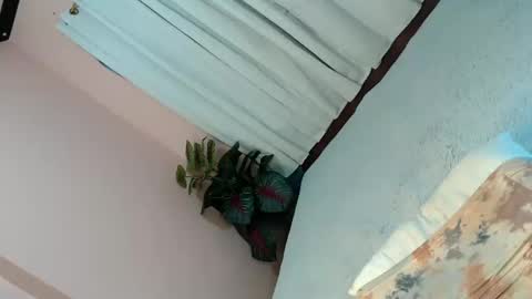 Snapshot of alove_too_last chatting on February 2025 05:12:01 PM LEXY online show from February 2025 05:12:01 PM