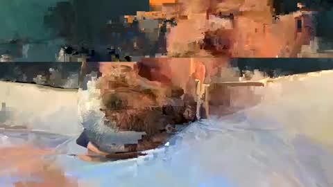 alpachino7777 online show from February 2025 05:27:01 PM