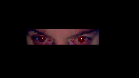 alphablue_wolf1295 online show from January 2025 08:06:01 AM