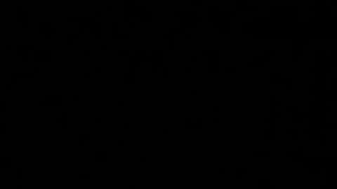 Snapshot of alphakittyxxx chatting on January 2025 05:02:02 PM Shelby or if you want to make me purr just call me Kitten online show from January 2025 05:02:02 PM