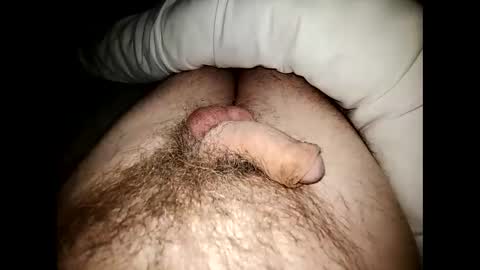 Snapshot of altirando3 chatting on December 2024 11:49:02 PM gordy2263 online show from December 2024 11:49:02 PM