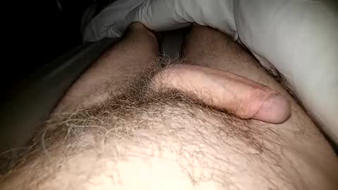 Snapshot of altirando3 chatting on March 2025 02:04:02 PM gordy2263 online show from March 2025 02:04:02 PM