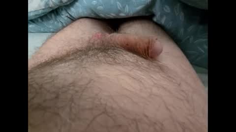 Snapshot of altirando3 chatting on September 2025 12:41:02 PM gordy2263 online show from September 2025 12:41:02 PM