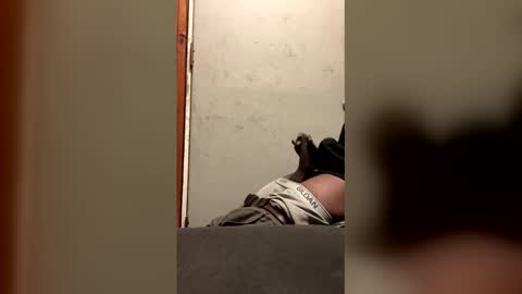 alwayshorny240177 online show from February 2026 04:47:02 PM