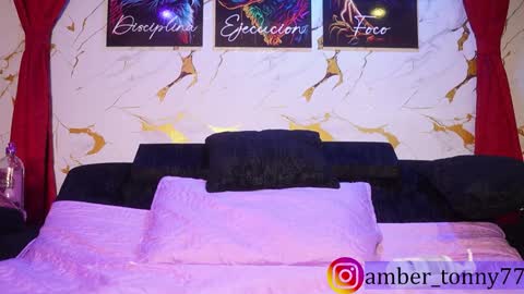     online show from November 2025 10:41:02 AM