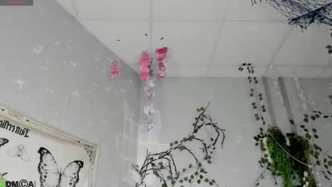 Snapshot of ameli_povilainn chatting on February 2026 02:29:02 AM Ameli online show from February 2026 02:29:02 AM