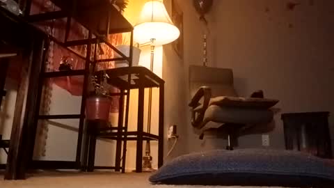 Snapshot of ameliajoshphine chatting on October 2025 01:28:01 AM ameliajoshphine online show from October 2025 01:28:01 AM