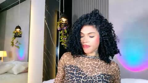 americapaz online show from February 2026 04:41:02 AM