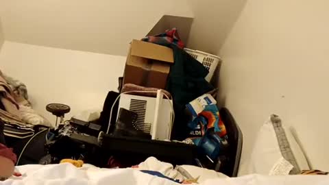 amileamariestar online show from December 2024 07:15:02 AM