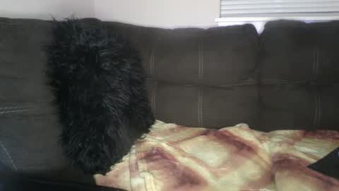 amiri_sweater online show from February 2025 06:36:02 AM