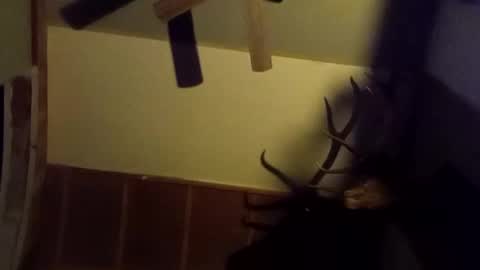 Snapshot of ammoman22 chatting on March 2025 05:55:02 AM ammoman22 online show from March 2025 05:55:02 AM