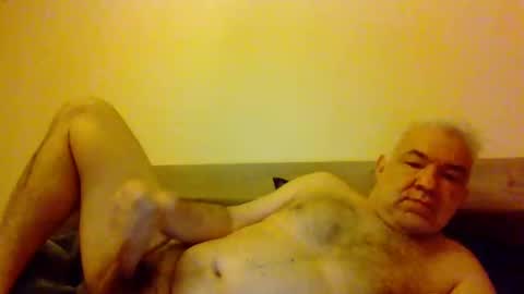 amstel69 online show from February 2025 08:42:01 AM