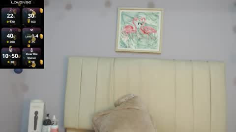 Amy online show from February 2026 01:43:01 PM