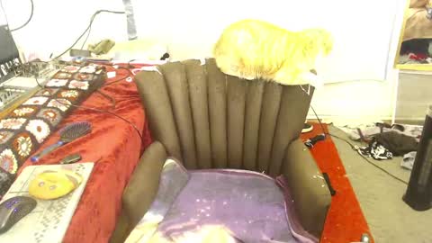 Trashely Gimpson online show from April 2026 08:09:02 AM