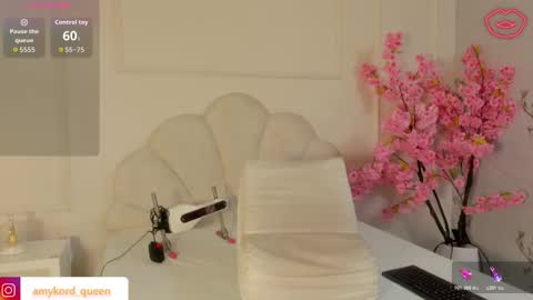 Amykord online show from November 2025 11:34:02 AM