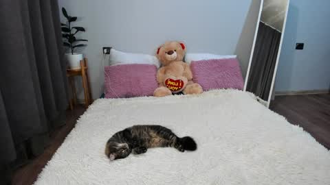 amymilson online show from December 2024 03:21:01 PM