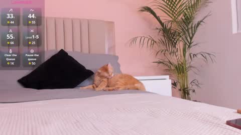 Ana Henao or Annie... Follow me ahenaocb Insta  X online show from February 2025 12:40:02 AM