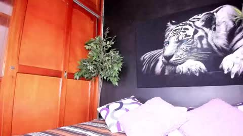 Anahi online show from February 2025 03:06:02 AM