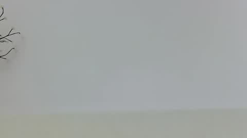 anaid_blaze2 online show from November 2025 01:54:02 PM