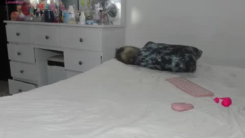  ANASTASIA DANGER  online show from March 2026 12:44:02 PM