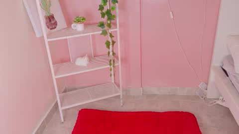 Kendra  online show from January 2026 11:37:02 AM