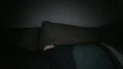 Snapshot of andellus chatting on January 2025 11:47:01 PM andellus online show from January 2025 11:47:01 PM