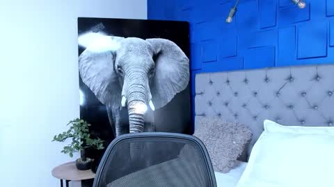 insta andres clark  online show from September 2025 06:01:02 PM