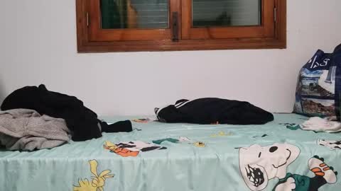 Andreu online show from December 2024 08:31:02 PM