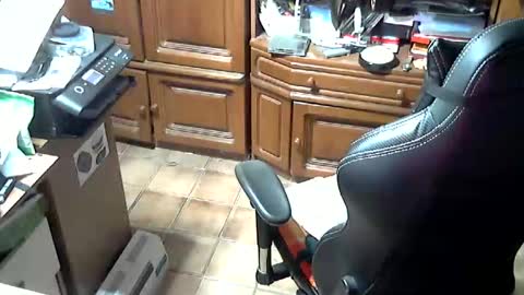 Snapshot of androgynia1 chatting on October 2025 11:57:02 AM androgynia online show from October 2025 11:57:02 AM