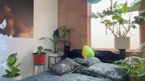 Andy online show from February 2026 01:05:02 PM