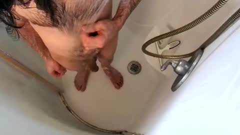 andybadass online show from February 2025 07:09:01 PM