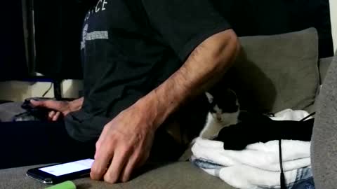 andybadass online show from October 2025 08:11:02 PM