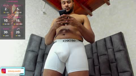 Snapshot of andyreed_ chatting on January 2025 09:14:02 PM Andy online show from January 2025 09:14:02 PM