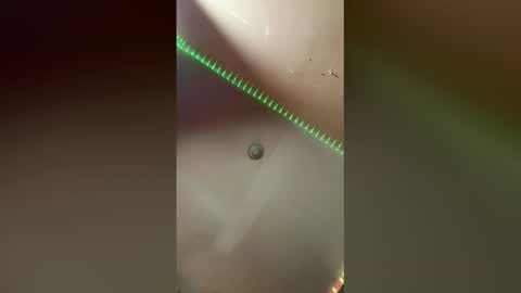 Angelikka Freakd out Pikkels online show from February 2026 04:41:01 AM