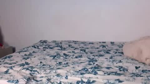 Angelinhaa  online show from January 2026 04:06:01 AM