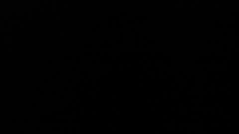 Angel Fox online show from December 2024 03:37:02 AM