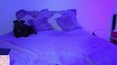 Snapshot of angie_bigboobs chatting on April 2026 11:28:01 PM Angie Gomez Onlyfans angie bigboobs FREE online show from April 2026 11:28:01 PM